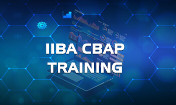 IIBA CBAP Training 